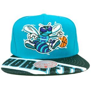 Charlotte Hornets Mitchell & Ness NBA Snapback Hat Cap 3D Logo Bill Art Teal NWT